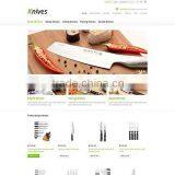 Website Redesigning Services thumbnail-5