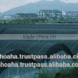Plastic Sunshade Nets Made in Vietnam, HDPE Agriculture Sunshade Nets, Farm Sunshade Nets, Sunshade Net Vietnam Factory thumbnail-2