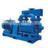 2BE Liquid- Ring Vacuum Pump