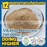 ISO 9001-2008 Certificates food additive alkaline protease
