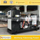 Lovol 50kw Electric Natural Gas Generator With thumbnail-3
