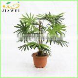 Indoor Table Decorative Artificial Palm Trees Bonsai Wholesale