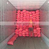 Best Quality Onion Price For Sri Lanka thumbnail-5