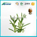 High quality pure rosemary extract powder for sale