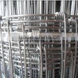 Hot Dipped Galvanized Grassland Fence Mesh Wire Mesh