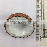 COCONUT FRUIT MAGNET RESIN 3D FRIDGE MAGNET SOUVENIR thumbnail-2