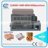 Egg Cartons in Packaging Boxes Egg Cartons Paper Pulp Machine Egg Cartons Machine Maker thumbnail-4