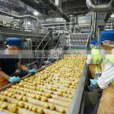 Snack Making Machine Potato Chips Machine thumbnail-5