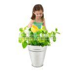 Toys Large Galvanized Buckets Great Buckets for Planters or Unique Goody Baskets thumbnail-5