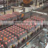 Coca-cola Conveyor System