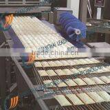 dumpling frozen food conveyor