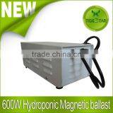 600W MAGNETIC BALLAST FOR HYDROPONICS Indoor Plant Growth thumbnail-1