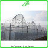 Agricultural Used Greenhouse Manufacturer thumbnail-5