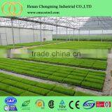 Greenhouse/Hydroponics Vegetative Led Grow Light 60x3w Grow Lamps Led Indoor Garden Grow Tent Used High Power thumbnail-3