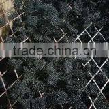 High Quality Professional Updated Innovative Pond Filter Foam