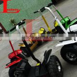 Leadway With 6 groups gyroscope taizhou scooter off road (RM09D-T308)