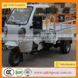 China New 250cc Three Wheel Mini Pedal Motorbikes for Sales thumbnail-1