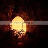 LED Garden Ball/ Rechargeable LED Ball Light/ LED Sphere Light thumbnail-2