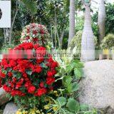 Vertical Garden Hanging Flower Ball Pot for Home Garden Decoration thumbnail-2