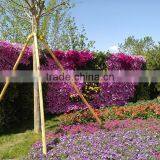 Decorative Home Decor Green Wall Cheapest (80X20cm)ornamental Plant Artificial Flower Wall thumbnail-2