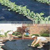 pp Non Woven Fabric Ground Cover thumbnail-4