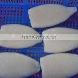Frozen Illex Squid Tube With Nice Quality thumbnail-1