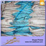 Manufacture Frozen Fish Fillets (Mackerel Fish) thumbnail-5
