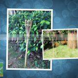 Handmade Bamboo Torch, Bamboo Tiki Torches for Outdoor Decoration thumbnail-3