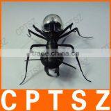 Solar Ant Toy thumbnail-2