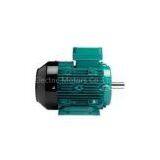 WEG Motor WEG Three Phase Motor thumbnail-2