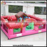 Promotion Inflatable Mini Amusement Bouncer Castle, Inflatable Air Trampoline