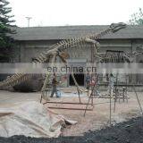 2015 Dinosaur Skeleton Model for Dinosaur Park for Kid thumbnail-4