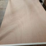 18mm plywood sheet/commercial plywood made in Fushi Factory
