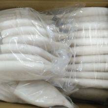 Frozen Squid Tube thumbnail-1