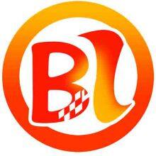 Shenzhen BL Photoelectric Technology Co., Ltd. company overview - view 1 thumbnail