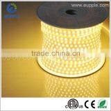 ETL Proffesional Factory Waterproof IP65 Led Flexible Strip thumbnail-2