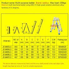 Little Gaint Ladder thumbnail-2