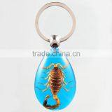 Real Insect Keychain With Scorpion thumbnail-6