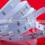 Flexible Led Stripe Used for Auditorium Walkway Lighting thumbnail-1