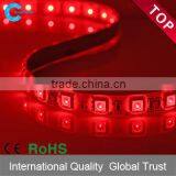 Silicone Tube Waterproof SMD5050 60LEDS/METER IP65