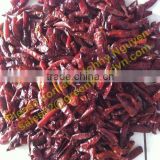 DRIED CHILI - HOT PRODUCT IN THE SEASON