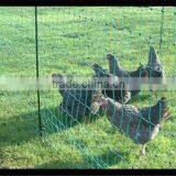 Portable Plastic Fencing Net for Chicken&sheep&deer/poultry Netting thumbnail-4