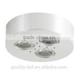Round Recessed Mount High Brightness Led Mini Light
