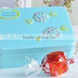 Luan Decorative Tin Cans for Candy,soap Tin Can