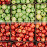 Grade A Fresh Apples