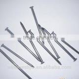 Flat Round Head Common Nails/ Concrete Steel Nails /Steel Nail
