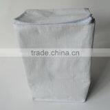 Disposable Beer Bottle Ice Cooler Bag