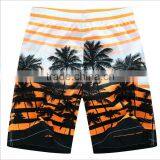 Daijun OEM New Design Cheap Polyester Stripe Palm Beach Shorts Hot Sale Blank Board Shorts thumbnail-3