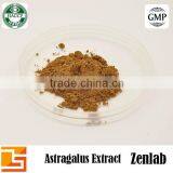 Hot Selling Polysacchrides 80% Astragalus Extract thumbnail-6