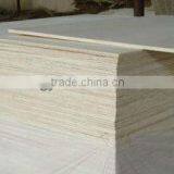 Eucalyptus Plywood thumbnail-1